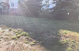 Kto wyrzuca na trawę resztki jedzenia? "To mogą być pułapki na zwierzęta"