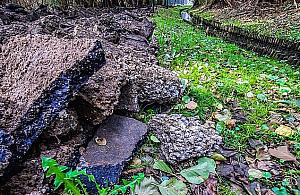 Nowość w parku Olszyna. Chodnik zostanie... podwieszony