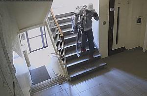 Szukanie złodzieja na własną rękę? "Odradzamy a nawet zabraniamy"