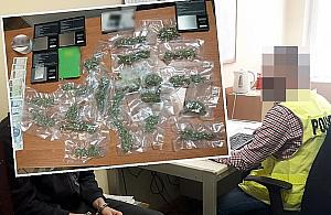 Zatrzymany w centrum Woli. "Sprzedawał marihuanę po 50 zł za gram"