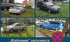 "Mistrzowie parkowania". Grozi za to 1000 zł kary