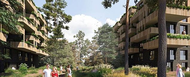 Nowe centrum Międzylesia. Dom Development zbuduje bloki obok Ferio