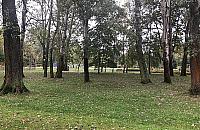 Ogromne zmiany w parku Picassa. "To dopiero początek"