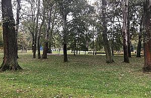 Ogromne zmiany w parku Picassa. "To dopiero początek"