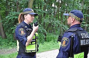 Niespodziewane odkrycie w lesie na Henrykowie