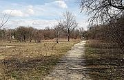 Piastów Śląskich: przedłużenie w przyszłym roku?
