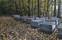 Beton w Lasku na Kole? Mieszka�cy oburzeni