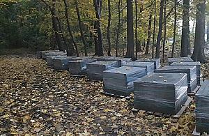 Beton w Lasku na Kole? Mieszkańcy oburzeni