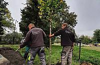 Nareszcie zielono. Park Herberta pięknieje