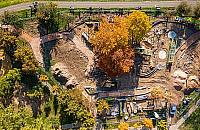 Rośnie "dżungla" na Wawrzyszewie. To projekt za dwa miliony