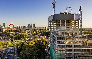 "Las" rośnie przy rondzie Radosława. Zobacz film