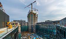 "Las" rośnie przy rondzie Radosława. Zobacz film