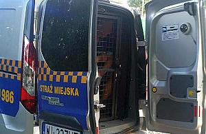 Awantura pod sklepem na Młodej. "Uderzył funkcjonariusza pięścią"