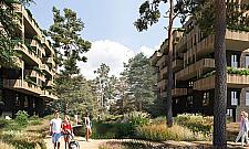 To już pięć lat. Ferio odmieniło Wawer?