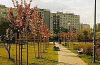 Blok w parku Chomicza? Wraca temat reprywatyzacji