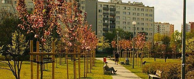 Blok w parku Chomicza? Wraca temat reprywatyzacji