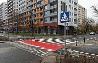 Garbata zebra zaskoczyła kierowców. Niespodzianka na Słodowcu