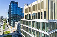 "Eksperci" ośmieszeni. Twórcy słynnego browaru mają ulicę