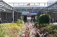 Zatrzymany na pętli Młociny. Pójdzie do więzienia za marihuanę?