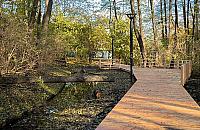 Naturalnie, ale z drogą techniczną. Co czeka park Olszyna?