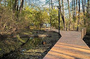Naturalnie, ale z drogą techniczną. Co czeka park Olszyna?
