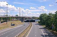 Czy ulica Rzymowskiego zmieni nazwę?