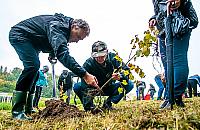 "Park antysmogowy" na Mokotowie. Zniknie zaniedbana polana