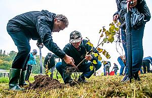 "Park antysmogowy" na Mokotowie. Zniknie zaniedbana polana