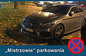 Mistrz parkowania z Nowolipek. Straż przypomina: Chodnik służy do chodzenia