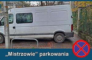 Mistrz parkowania z Czerskiej. Straż przypomina: Chodnik służy do chodzenia