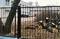 Drzewa zagrażały ludziom. Aktywiści: "masakra piłą mechaniczną"