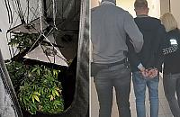 Policja w mieszkaniu na Odkrytej. "Hodował nielegalne rośliny"