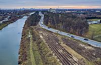 Zasadzą na Białołęce 42 tysiące drzew. "Odtwarzamy zieleń"