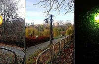 "Gwiazda" parku Moczydło. "Jest niepowtarzalna"