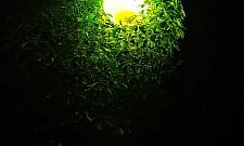 "Gwiazda" parku Moczydło. "Jest niepowtarzalna"