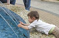 Chcesz nadal otrzymywa� 500+? Koniecznie z�� wniosek