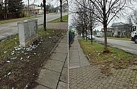 Małpki walają się po Tużyckiej. Czy jest jakiś sposób na utrzymanie czystości?