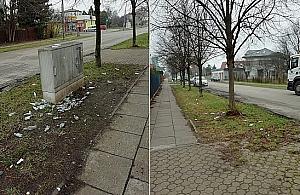 Małpki walają się po Tużyckiej. Czy jest jakiś sposób na utrzymanie czystości?