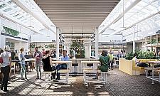 Niezwykły projekt na Woli. Nowe życie zabytkowych szklarni