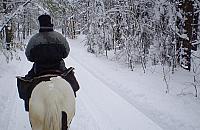 "Koń nie jest władcą lasu". Wojna rowerzystów i jeźdźców o leśne dukty Wawra