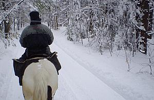 "Koń nie jest władcą lasu". Wojna rowerzystów i jeźdźców o leśne dukty Wawra