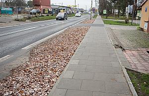 Rowerem po Patriotów. Nie zabraknie pieniędzy na koncepcję