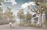 Chcą odmienić centrum Woli. Mnóstwo zieleni i "miejsce spotkań"