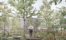 Chcą odmienić centrum Woli. Mnóstwo zieleni i "miejsce spotkań"