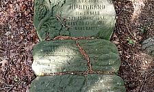 Zapomniany cmentarz na skraju Warszawy. "Należy im się pamięć"