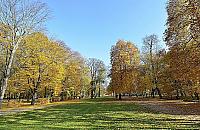 Jesteśmy zieloną stolicą Europy? "Warszawiacy uwielbiają narzekać"