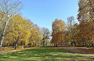 Jesteśmy zieloną stolicą Europy? "Warszawiacy uwielbiają narzekać"