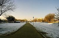 100-metrowy wieżowiec na Serku? Takie są oficjalne plany