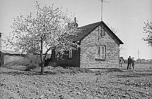 Konie, kury, bloki na końcu świata. Bródno pół wieku temu