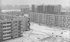 Konie, kury, bloki na końcu świata. Bródno pół wieku temu